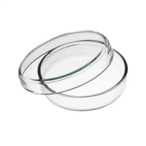 Glass Petri Dish 60 mm for Laboratory Use price in Bangladesh